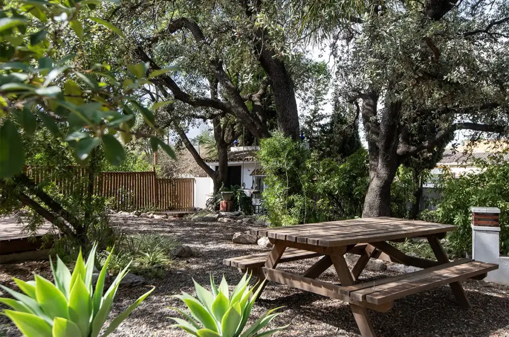 Under the Oak tree Casa Agave - picnic table area under oak tree